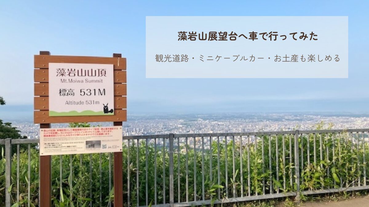 藻岩山展望台 山頂から見た札幌の景色