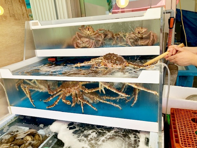 大きな蟹を見せてもらった様子