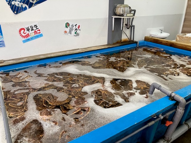 他の店舗の蟹売り場